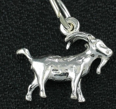 STG Sterling Silver Charm Zodiac - Capricorn 1